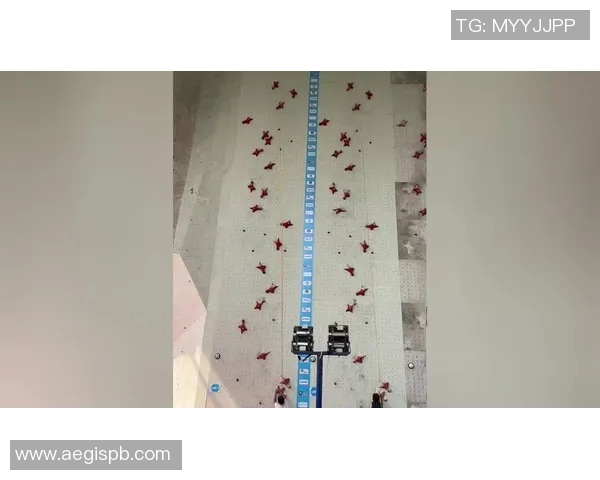杭州极限运动队在世界攀岩锦标赛中的拼搏历程与荣耀时刻